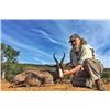 Image 4 : 7 DAY SPRINGBOK OR BLESBUCK GRAND SLAM PACKAGE for 2 HUNTERS