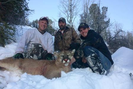 Utah Mountain Lion Hunt For 2 Hunters With Pine Valley Outfitters