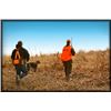 Image 2 : Pheasant Hunting for 1-2 Hunters