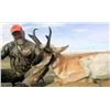 Image 2 : 3-Day Antelope Hunt in Wyoming with Rangeland Hunting Adventures