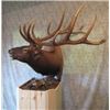 Image 2 : Shoulder Mount for Elk/Kudu Sized Animal from Natures Own Wildlife Studios
