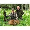 Image 2 : Scottish Estate Roe Deer Hunt for 1 Hunter