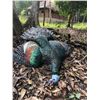 Image 3 : Mexico Ocellated Turkey Hunt for 2