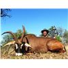 Image 2 : Restless Africa Safaris Five day for Roan Antelope