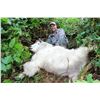 Image 1 : Alaska Mountain Goat Hunt