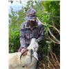 Image 2 : Alaska Mountain Goat Hunt