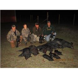 Thermal Imagining Hog hunt in Georgia