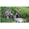 Image 3 : PA Whitetail Hunt for One Hunter and a non-hunting companion