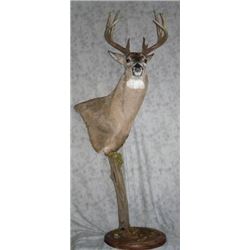 Pedestal Mount with Habitat for a Mule or Whitetail Deer from Natures Own Wildlife Studios
