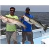 Image 3 : 2 Day Striper (Rockfish) Trip with Rock Hall Fishing Charters for 6