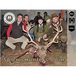 2-Day Monteria Driven Hunt with Spanish Hunters in Spain