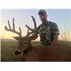 Image 1 : Mule Deer or Whitetail in Montana for 1 Hunter