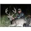 Image 4 : Mule Deer or Whitetail in Montana for 1 Hunter