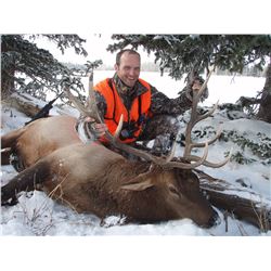DIY Elk, Mule Deer & Black Bear hunt in Colorado