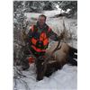 Image 2 : DIY Elk, Mule Deer & Black Bear hunt in Colorado