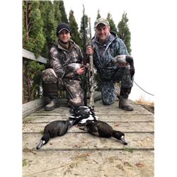 Chesapeake Duck & Goose Hunt for Four Hunters