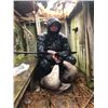 Image 3 : Chesapeake Duck & Goose Hunt for Four Hunters
