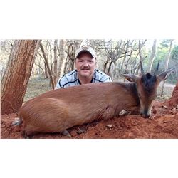 7 Day South Africa Plains Game Adventure with Somerby Safaris for 1 Hunter