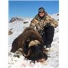 Image 1 : Muskox Hunt in Greenland