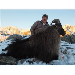 5-Day New Zealand Bull Tahr Hunt