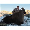 Image 1 : 5-Day New Zealand Bull Tahr Hunt