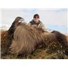 Image 2 : 5-Day New Zealand Bull Tahr Hunt