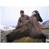 Image 3 : 5-Day New Zealand Bull Tahr Hunt