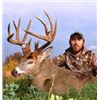 Image 2 : Iowa Whitetail Hunt for One Hunter
