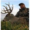Image 3 : Iowa Whitetail Hunt for One Hunter
