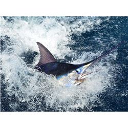 Off Shore Fishing charter for 6