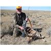 Image 1 : Wyoming Pronghorn Antelope Hunt for 2