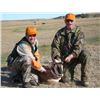 Image 2 : Wyoming Pronghorn Antelope Hunt for 2