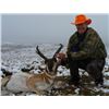 Image 3 : Wyoming Pronghorn Antelope Hunt for 2
