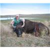 Image 3 : 5-Day Argentina Water Buffalo hunt for 1 hunter