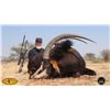 Image 3 : Driess Visser Safaris Ten day for Roan & Sable Antelopes for 2 Hunters & Companions