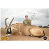 Image 5 : Driess Visser Safaris Ten day for Roan & Sable Antelopes for 2 Hunters & Companions