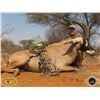 Image 6 : Driess Visser Safaris Ten day for Roan & Sable Antelopes for 2 Hunters & Companions