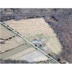 New Jersey Pheasant Hunting for 2 Hunters