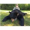 Image 2 : 7-Day New Brunswick Black Bear Hunt in memory of Bob Fiss