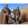 Image 3 : Texas Sandhill Crane Hunt for 2