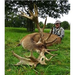 Scottish Red Stag for 1 Hunter