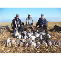 3 Days of Goose and Duck Hunting for 2 Hunters