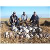 Image 1 : 3 Days of Goose and Duck Hunting for 2 Hunters