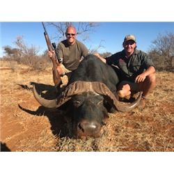 10 Day Plains Game Hunt  in Limpopo Province or Northern Cape in South Africa