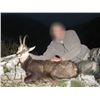 Image 2 : 10-day New Zealand Big Game Safari for Three Hunters.