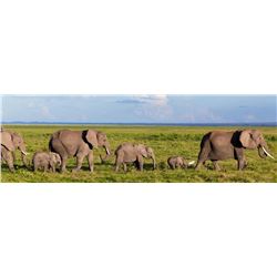 12-Day Safari in South Africa with Trophy Fee Credit