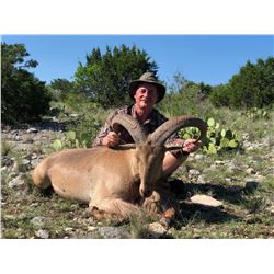 Aoudad Hunt in Texas with Trash Rack Ranch