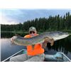Image 1 : Saskatchewan, Canada - Kississing Lodge – 6 anglers for outpost of choice 7 days Fishing June