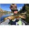Image 1 : Missouri River Lodge - Fishing – Cascade, Montana