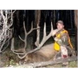 Trophy Elk, Deer, Black Bear and Wolf Horseback Hunt Bob Marshall Wilderness Montana
